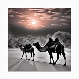 Camels In The Snow Canvas Print