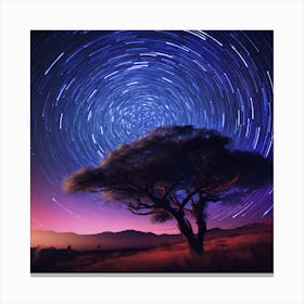 Star Trails Over A Tree Canvas Print