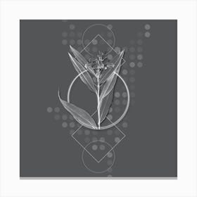 Vintage Globba Erecta Botanical with Line Motif and Dot Pattern in Ghost Gray Canvas Print