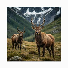 Elk In The Mountains Canvas Print