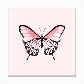 Pink Butterfly 1 Canvas Print