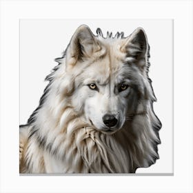 White Wolf Canvas Print