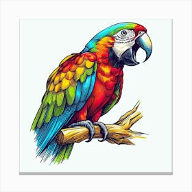 Parrot 6 Canvas Print