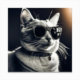 Cat In Sunglasses 12 Canvas Print