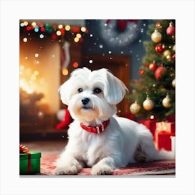 A Fluffy White Maltese Dog With A E9uhnaw Canvas Print