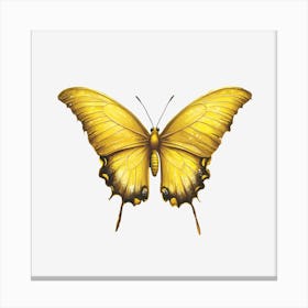 Yellow Butterfly Stampe su tela