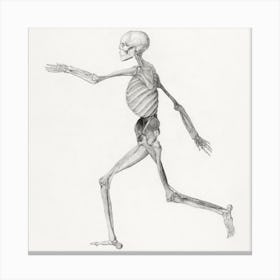 Running Skeleton Canvas Print