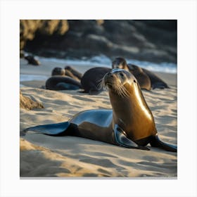 Sea Lions On The Beach Canvas Print