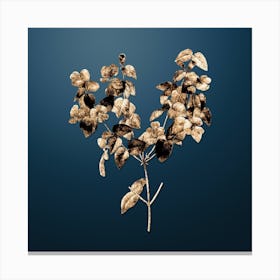 Gold Botanical Platilobium on Dusk Blue n.0287 Canvas Print
