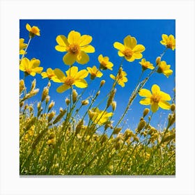 Yellow Cosmos Flowers Canvas Print