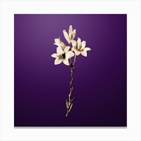 Gold Botanical Madonna Lily on Royal Purple n.2145 Canvas Print