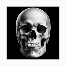 Skull Stock Videos & Royalty-Free Footage Canvas Print