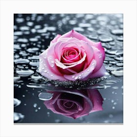 Pink Rose In Water 1 Canvas Print