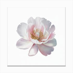 Peony Canvas Print Canvas Print