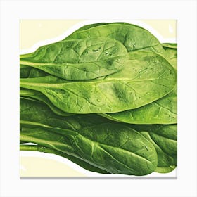 Spinach Leaves Canvas Print