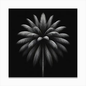 Palm Tree 1 Canvas Print