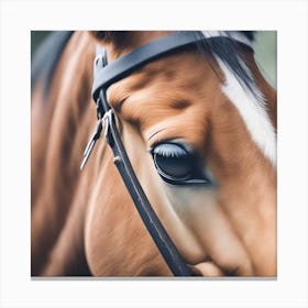 Close Up Of A Horse'S Eye 6 Canvas Print