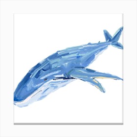 Blue Whale 05 Canvas Print