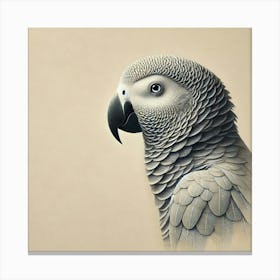 Parrot 14 Canvas Print