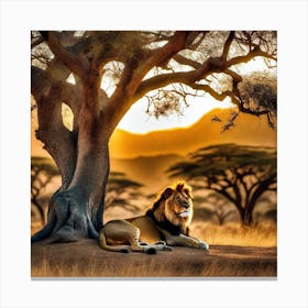 Lion Under The Tree 14 Canvas Print