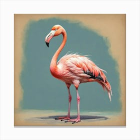 Flamingo 56 Canvas Print