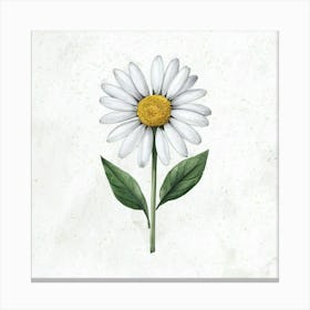 Daisy 2 Canvas Print