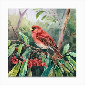 Red Cardinal Canvas Print