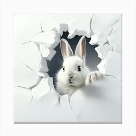 Rabbit Peeking Out Of A Hole 1 Canvas Print