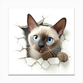 Siamese Cat 2 Canvas Print