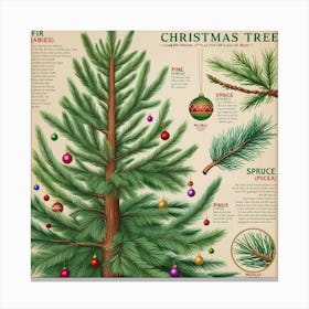 Christmas Tree Vintage Botanical Style With Ornaments 2 Canvas Print