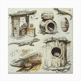 Lizards Canvas Print