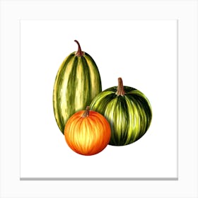 Pumpkins Canvas Print