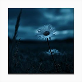 Single Flower In A Field Canvas Print