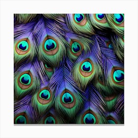 Peacock Feathers 3 Canvas Print