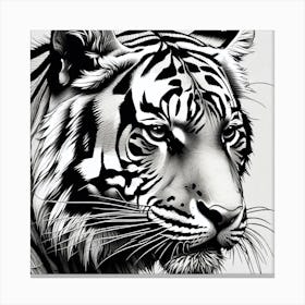 Tiger 15 Canvas Print