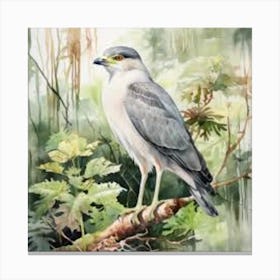 Grey bird in the woods Canvas Print