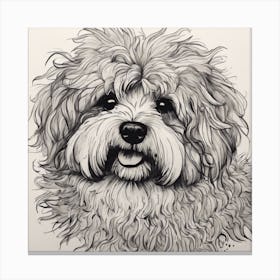 Shih Tzu Canvas Print