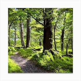 Mossy Forest Path Canvas Print