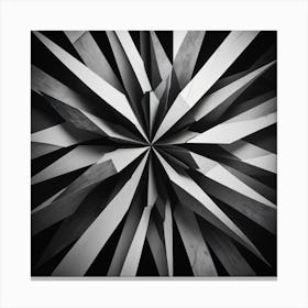 Black and White Abstract Art 304 Canvas Print