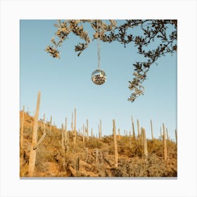 Disco Ball - Saguaro Cactus Desert - Southwest Arizona Nature Landscape Canvas Print