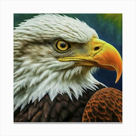 Bald Eagle 3 Canvas Print