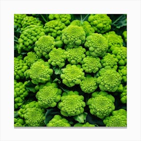 Green Broccoli Canvas Print