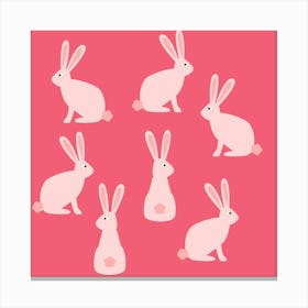 Rabbits on Pink Canvas Print