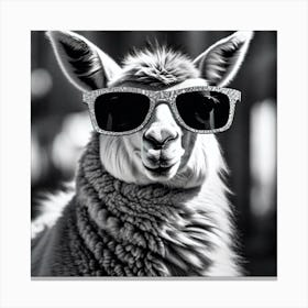 Llama In Sunglasses 8 Canvas Print