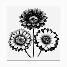 Black and white flowers 4 Canvas Print