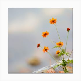 Autumn Flowers Canvas Print