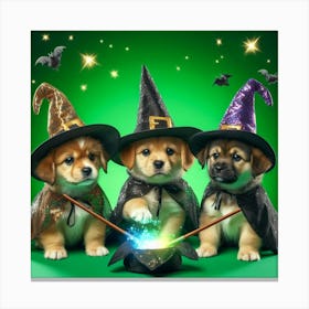 Witches 12 Canvas Print