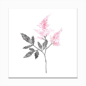 Lilac Flowers2 Canvas Print