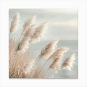 Pampas Grass In Focus Canvas Print