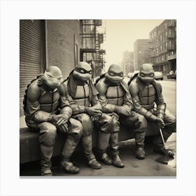 Teenage Mutant Ninja Turtles Canvas Print